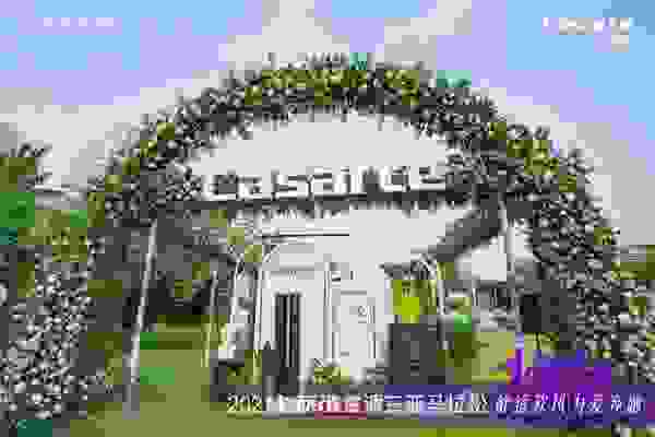 别忽略呼吸健康！卡萨帝“新呼吸”场景现身三亚搜狐马拉松