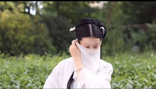 图片12.png