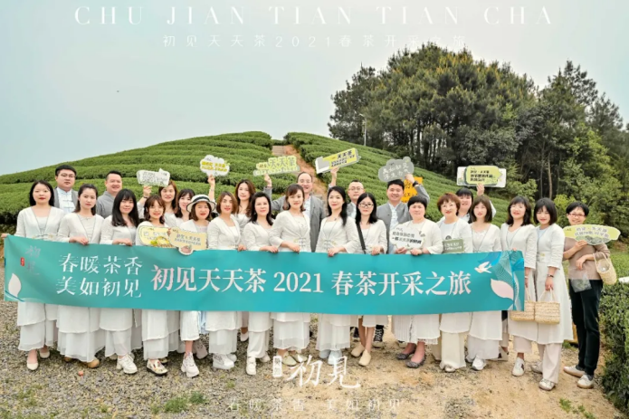 春暖茶香 美如初见｜初见天天茶·2021春茶开采之旅圆满落幕