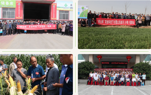 图片33.png