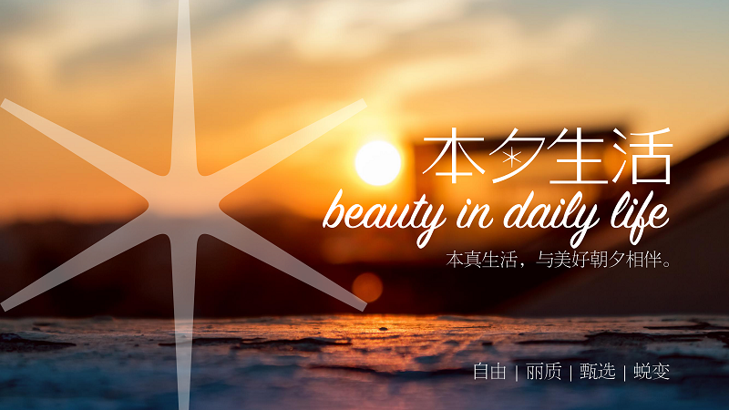 本夕生活｜打造国内私域社群电商新标杆