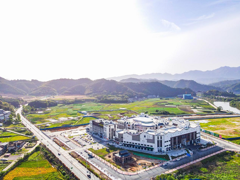 中国白茶城 依托产地优势 引领产业升级