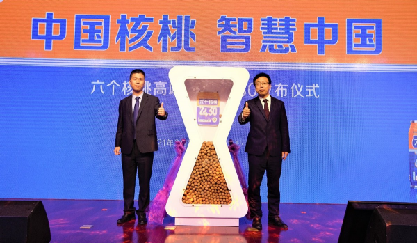 权威专家首肯六个核桃2430营养价值 养元饮品打造30天记忆提升方案