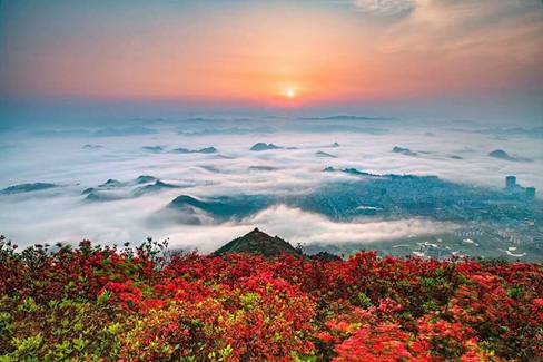 登高山之巅，赏满山遍野的丹寨杜鹃花，是种什么体验？