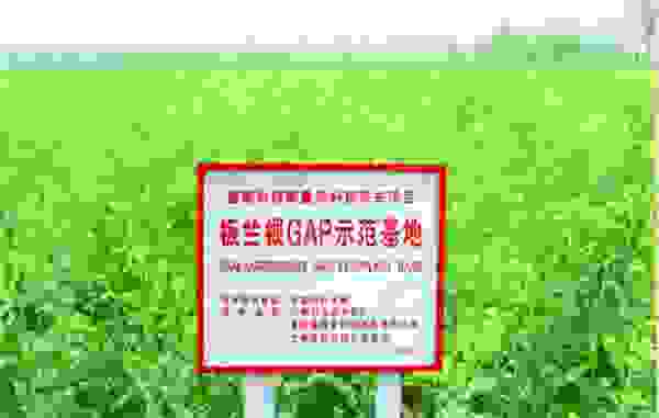 “国家脱贫攻坚先进集体” 广药集团带动板蓝根产业帮扶新趋势