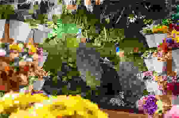 流星花园花艺培训技术全面，让合作者开花店无忧