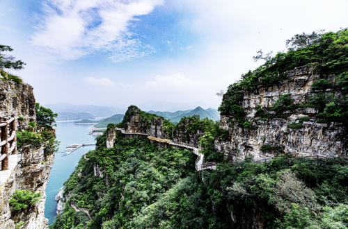 圆歌文商旅集团打造农文旅品牌【易life】：离生活更近，与自然相见