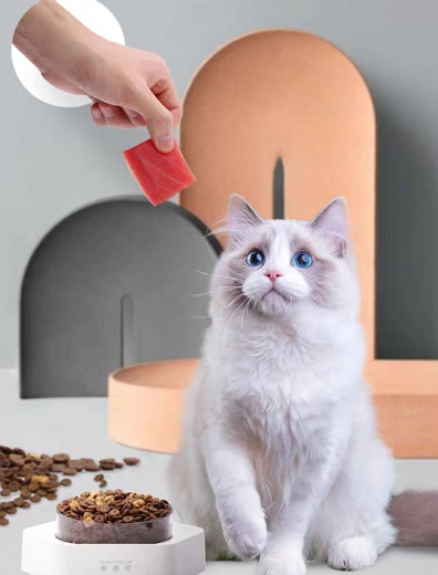 “猫经济”时代来临，耐威克猫粮专业品质获宠物主认可