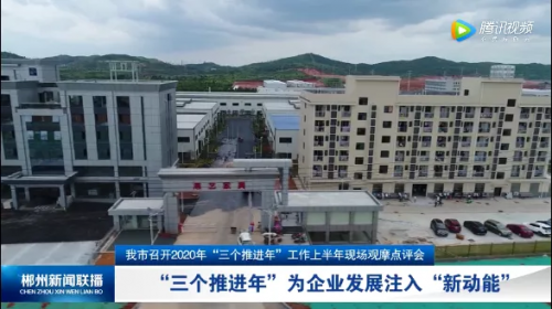 湖南郴州桂阳县县委县政府大力扶持企业，“三个推进年”为港艺家具发展注入新动能