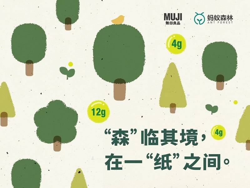 MUJI无印良品节能减纸低碳：“森”临其境，在一“纸”之间