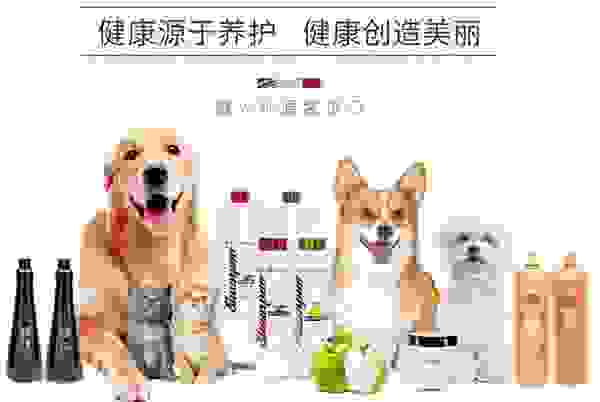 伊珊娜Iv San Bernard，专注于宠物皮毛护理洗护美容