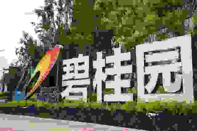 为什么优秀企业碧桂园都在主动反腐？