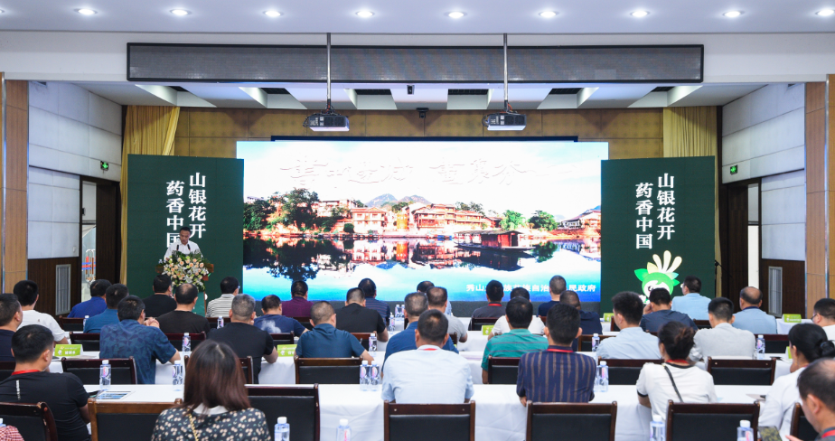 助力打造“武陵药都”，“山银花开 药香中国”招商推介大会圆满举行