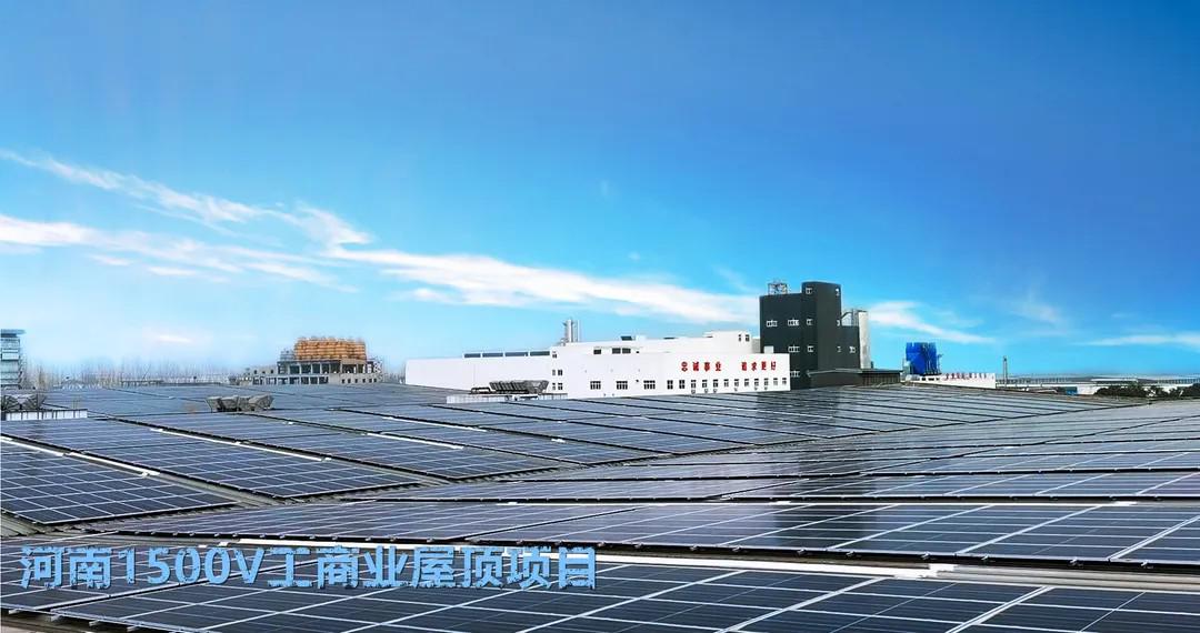 图片14.png
