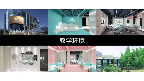 上海斐尔国际成为CCTV品牌中国栏目推荐品牌
