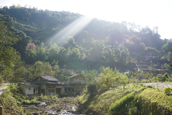 美丽的那柯里