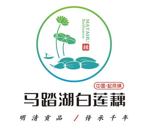 明清贡品 传承千年 桓台县“马踏湖白莲藕”区域公用品牌正式发布