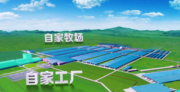 image003.png