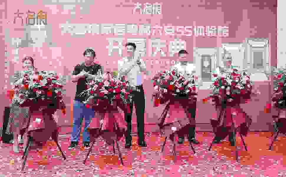 大名府家居电梯｜于六安古都演绎绝美东方雅韵