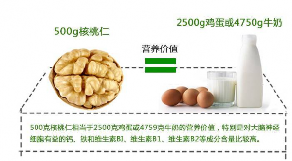 养元饮品创新工艺深挖核桃营养 六个核桃成国民补脑神器