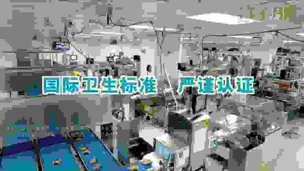 犹如最美中秋之“色”的香港美心月饼