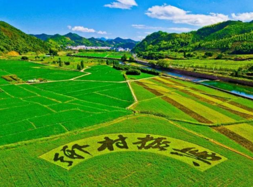 俏妃张帆谈建党100周年下的乡村振兴