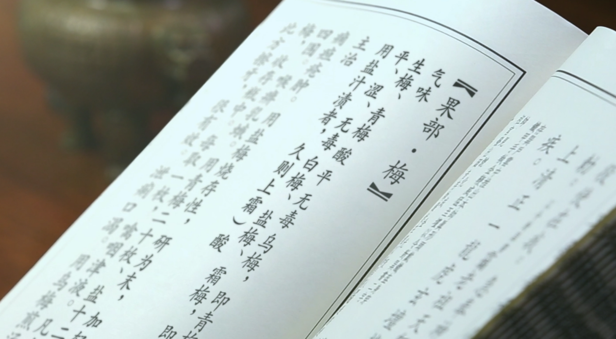传承3000年青梅文化，宝藏食品四季优美随便果