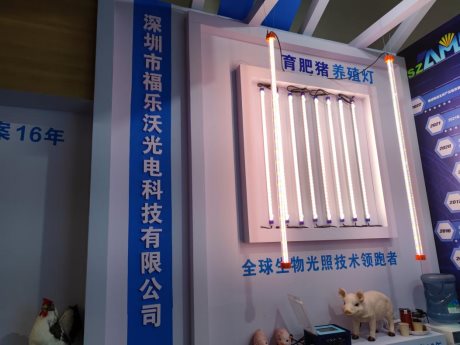福乐沃光电：用生物光照技术践行动物生长，推动禽畜养殖业健康发展