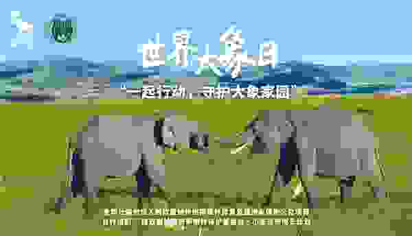 以爱心行动汇聚温暖，爱华仕箱包守护大象家园