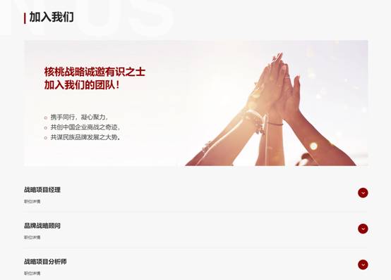核桃战略新官网“曙光”来临，全新发力助推民族品牌崛起！