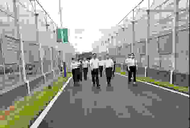 何报翔副省长一行到美食流竹泉山智慧农业第一村调研