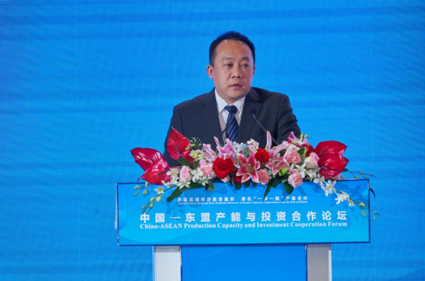 三国大使共同见证、CCTV关注报道， 大龙网冯剑峰东盟博览会发布四大赋能体系