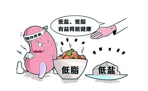 酵能萌主草本酵素健康新风尚