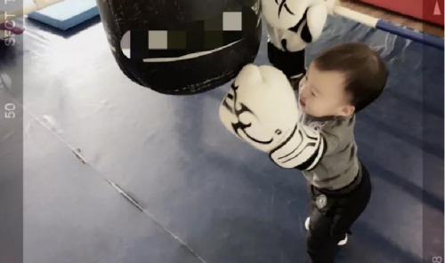 延鲁武校：吴京之子吴所谓从小习武，幼儿练武竟有这么多好处！