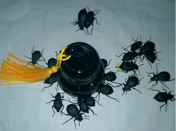 微信图片_20210928161243_副本.gif