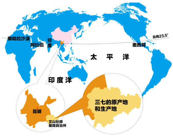 什么牌子的三七粉好，创新质造的养立方不可多得