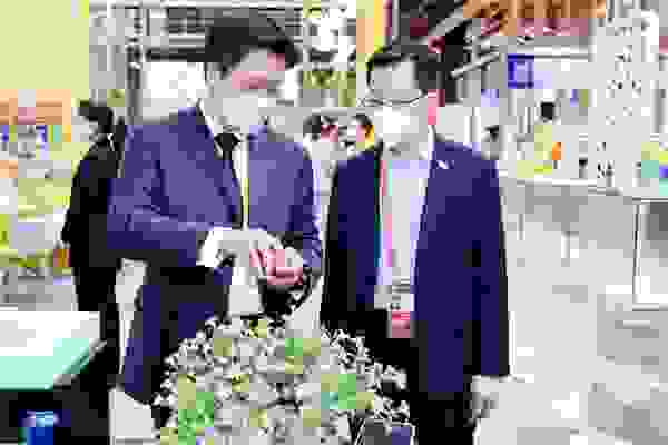 枫缇连续五年参展进博会，共筑可持续美好未来