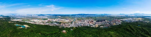 激发产业兴旺“新”活力 珠海金湾区平沙镇“产业+农业”双轮驱动迈向高质量发展新征程