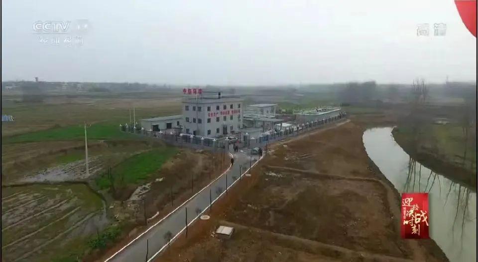 清流又绿长江岸 中信环境技术助力孝感破解乡镇污水治理难题