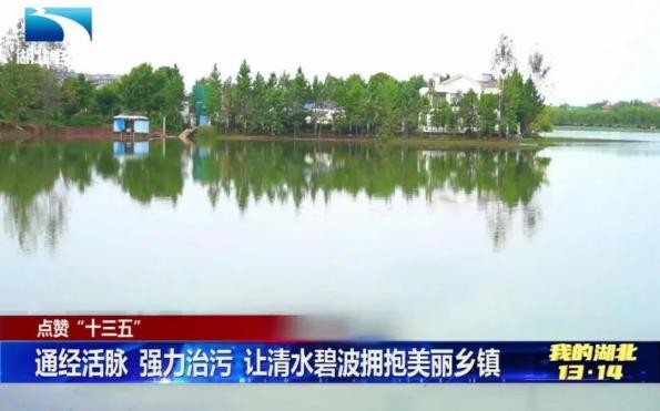 清流又绿长江岸 中信环境技术助力孝感破解乡镇污水治理难题