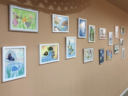 蓝宙联手爱德基金举办一场特殊意义的画展