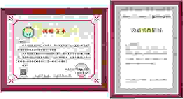 【心存感恩 益起行动】龙源海外感恩节特别公益活动回顾