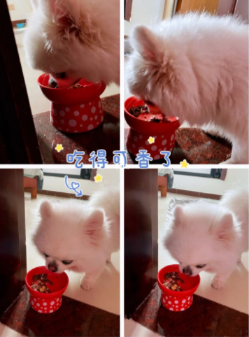 QQ截图20220208154256.png
