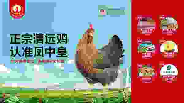 优质土鸡