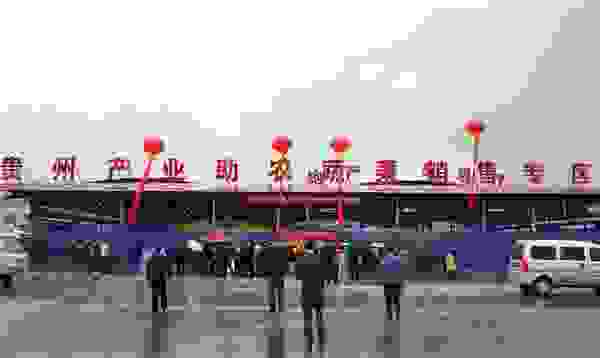 实业报国，地利集团二十年不忘初心