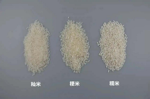 大米品牌众多，我们应该怎么挑选？(图3)
