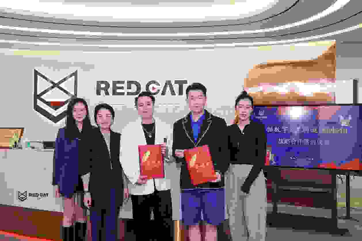 下一个独角兽？黑洞谜塔Meta携手红猫数字探索元宇宙