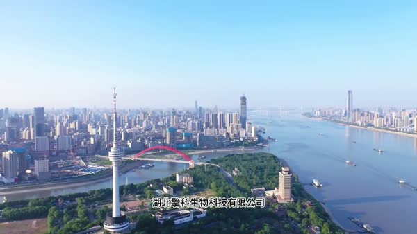 擎科生物新品上市，提供糖化白蛋白检测完整解决方案
