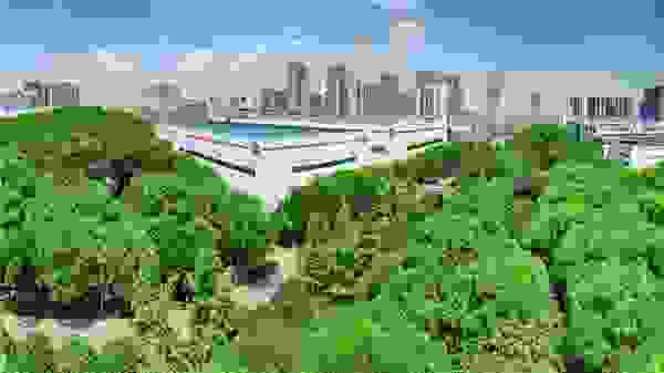 劲牌高标准臻选优质药材，打造原材料生态闭环