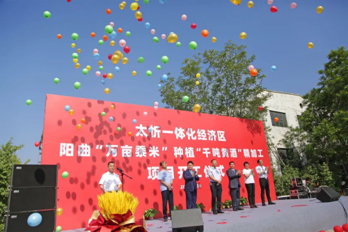 北派黄酒新势力，南绍北代应用区块链赋能阳曲⻩酒智慧产业链